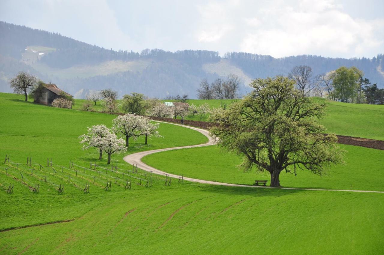 B&B Zum Rossli Zunzgen Kültér fotó